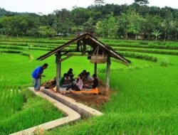 Program Desa Cerdas Dorong Pemberdayaan Masyarakat Melalui Teknologi Digital