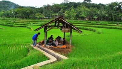 Program Desa Cerdas Dorong Pemberdayaan Masyarakat Melalui Teknologi Digital