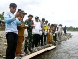 Tiga Puluh Ribu Benih Ikan Nila dilepas di Bendungan Banua Majene