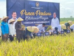 Beri Kesempatan WBP Bangun Lumbung Ketahanan Pangan, Kini Meraih Sukses dan Menteri Agus Andrianto Lakukan Panen Perdana