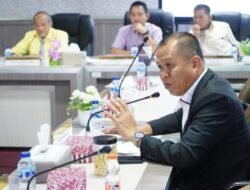 Nasdem Serukan Kajian Ulang Tambang Emas Luwu, Dukung Langkah Gubernur Andi Sudirman