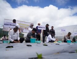 Pemprov Sulsel Gandeng Pemkab Gowa Perkuat Sentra  Kentang di Dataran Tinggi