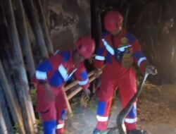 Heboh! Ular Piton 5 Meter Mangsa Kucing di Sekitar Kampus UIN Alauddin Makassar