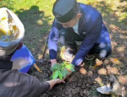 Libatkan Pemuda Hijaukan Masjid, PRIMA DMI Sulsel Tanam 10.000 Pohon 