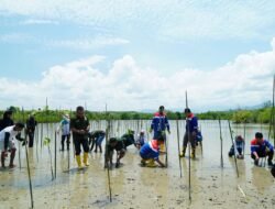 Jaga Ekosistem Pesisir, Pertamina Patra Niaga Sulawesi Tanam 1.000 Bibit Mangrove di Cagar Alam Panua