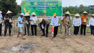 Dukung Ketahanan Pangan, Polres Gowa Gelar Penanaman Jagung Serentak Kuartal IV