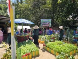 Pertamina Patra Niaga Ajak Warga Maros Wujudkan Kemandirian Pangan Lewat Pekarangan Lestari