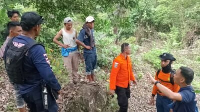 Pria di Luwu Dilaporkan Hilang Saat Pantau Kebun di Pegunungan Walenrang Barat