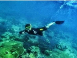 Pesona Wisata Bahari dan Pertanian Pulau di Kecamatan Kepulauan Sangkarrang