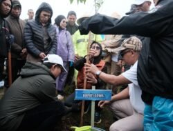 Hindari Bencana Akibat Kerusakan Hutan, Pemkab Gowa Hijaukan Kawasan pegunungan dengan Tanam 10 Ribu Pohon