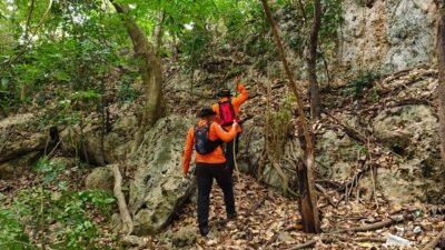 Hari Ketiga Pencarian Lansia, Tim SAR Sisir Hutan Selayar Hingga 7 Kilometer