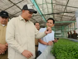 Bupati Bantaeng Tinjau Kultur Jaringan Kentang, Dorong Daerah Jadi Sentra Benih Unggul