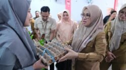 Angka Stunting Gowa Turun, Bupati Talenrang Ajak DWP Perkuat Edukasi ke Masyarakat