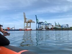 Rombongan Ikan Hiu Muncul di Perairan Dekat Pelabuhan Makassar, Warga Sempat Geger