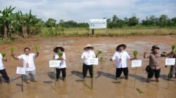 Dorong Swasembada Pangan, Bupati Gowa Optimalkan Program Cetak Sawah Rakyat