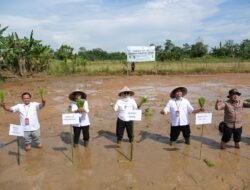 Dorong Swasembada Pangan, Bupati Gowa Optimalkan Program Cetak Sawah Rakyat