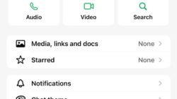 Waspada! Nama Aliyah Mustika Ilham Dicatut untuk Penipuan