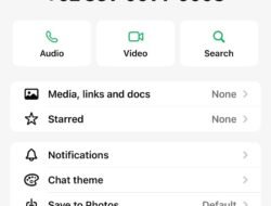 Waspada! Nama Aliyah Mustika Ilham Dicatut untuk Penipuan
