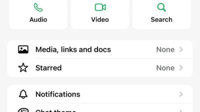 Waspada! Nama Aliyah Mustika Ilham Dicatut untuk Penipuan