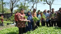 Munafri Tinjau Urban Farming di Tamalate–Wajo, Targetkan Kemandirian Pangan Bagi Warga