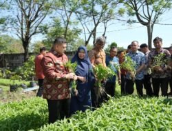 Munafri Tinjau Urban Farming di Tamalate–Wajo, Targetkan Kemandirian Pangan Bagi Warga