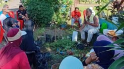 Lubang-Lubang Kecil yang Menyelamatkan Kota