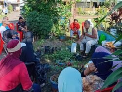 Lubang-Lubang Kecil yang Menyelamatkan Kota