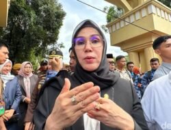 Kejati Sulsel Periksa Andi Ina Kartika Mantan Pimpinan DPRD Terkait Anggaran Bibit Nanas Rp 60 Miliar