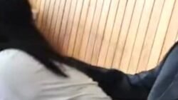 Babak Baru Video Viral Oknum Anggota DPRD Enrekang, Wanita D Akui Tidak Pernah Nikah Dengan ST