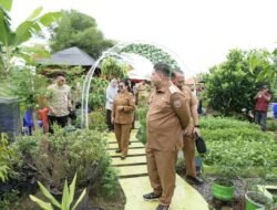 Urban Farming Jadi Andalan, Wali Kota Makassar Minta Warga Maksimalkan Pekarangan