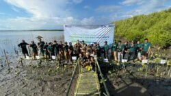 PNM, BRINS dan Buttaporea Tanam 7.000 Mangrove di Untia, Bentengi Pesisir Makassar dari Abrasi