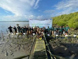 PNM, BRINS dan Buttaporea Tanam 7.000 Mangrove di Untia, Bentengi Pesisir Makassar dari Abrasi