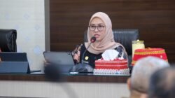Gowa Perkuat Perlindungan Lahan Sawah, Ketahanan Pangan Jadi Prioritas