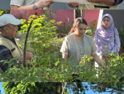 Menyelamatkan Makassar dari Krisis Sampah: Ketika Bank Sampah dan Korporasi Harus Bergerak Bersama
