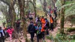 31 Pendaki Trouble di Bawakaraeng, Tim SAR Masih Evakuasi Korban Cedera Lutut