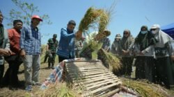 Hadapi Musim Kering, Pemkot Perkuat Dukungan Sarana Pertanian dan Teknologi untuk Petani Makassar