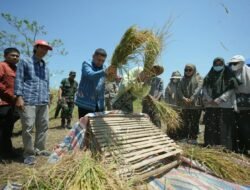 Hadapi Musim Kering, Pemkot Perkuat Dukungan Sarana Pertanian dan Teknologi untuk Petani Makassar