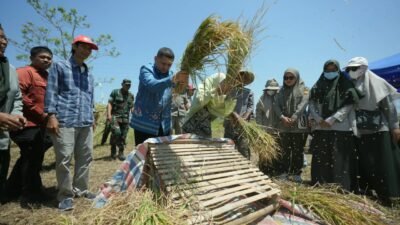 Hadapi Musim Kering, Pemkot Perkuat Dukungan Sarana Pertanian dan Teknologi untuk Petani Makassar