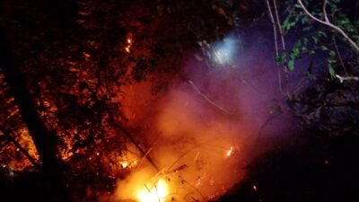 Kebakaran Hutan di Gowa Terjadi Dini Hari, Tim Gabungan Berjibaku Padamkan Api di 2 Lokasi