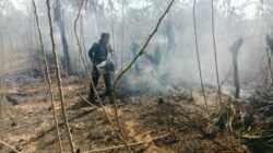 Kebakaran Lahan 2,5 Hektare Melanda Gowa, TNI-Polri dan Warga Bergerak Cepat Padamkan Api