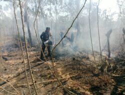 Kebakaran Lahan 2,5 Hektare Melanda Gowa, TNI-Polri dan Warga Bergerak Cepat Padamkan Api