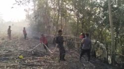 Karhutla 5 Hektare Mengamuk di Gowa, Tim Gabungan Bergerak Cepat Padamkan Api