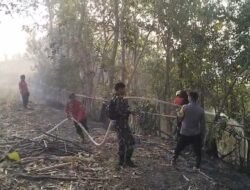 Karhutla 5 Hektare Mengamuk di Gowa, Tim Gabungan Bergerak Cepat Padamkan Api