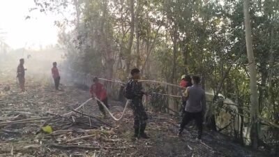 Karhutla 5 Hektare Mengamuk di Gowa, Tim Gabungan Bergerak Cepat Padamkan Api