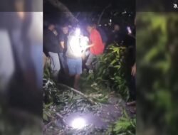 Pohon Tumbang Timpa Pengendara di Takalar, Korban Alami Patah Kaki