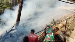 Api Berkobar di Malino Gowa, 0,5 Hektare Lahan dan Pohon Kopi Hangus