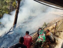 Api Berkobar di Malino Gowa, 0,5 Hektare Lahan dan Pohon Kopi Hangus