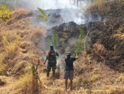 Api Membakar 4 Hektar Lahan di Gowa, 42 Personel Berjibaku hingga Malam