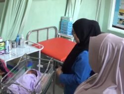 Dengar Tangisan dari Kardus, Warga Gowa Temukan Bayi Perempuan Masih Hidup