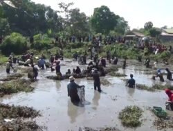 Seru, Tradisi Ratusan Warga Gowa Tangkap Ikan saat Rawa Surut di Musim Kemarau